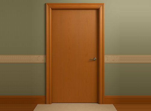 Wooden flush door with matching frame