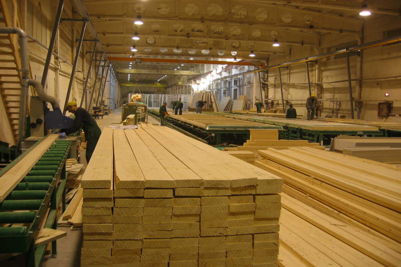Sawn timber moving along a conveyor in a timber processing hall